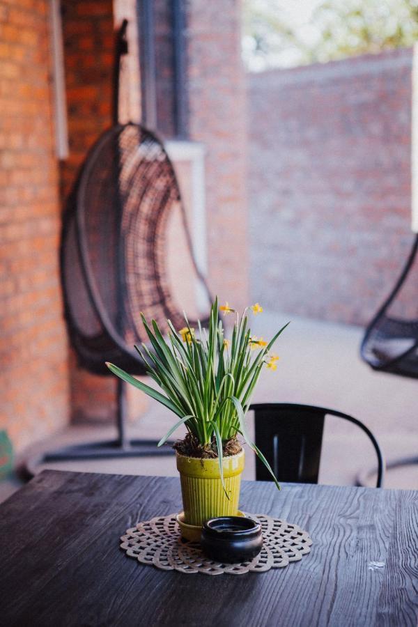The Jackal Guesthouse Aliwal North Eksteriør billede