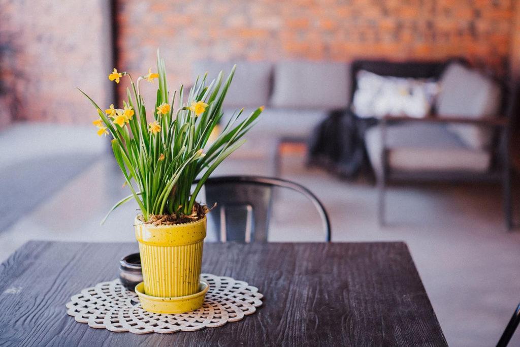 The Jackal Guesthouse Aliwal North Eksteriør billede